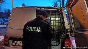 Odzyskano dwa skradzione samochody, cenne fanty oraz udaremniono kradzież innego pojazdu. Sprawcy poniosą teraz konsekwencje prawne